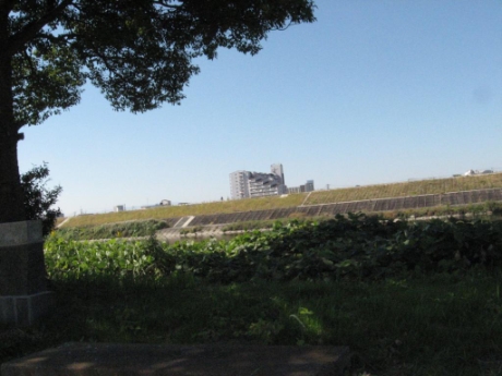 画像36